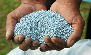 Fertilizers