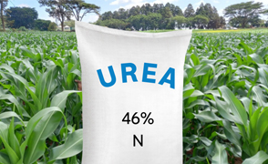 urea